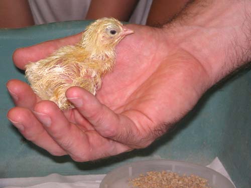 Nature/Animals/Science