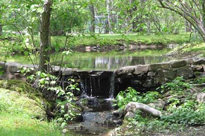 Basketball in the Fall